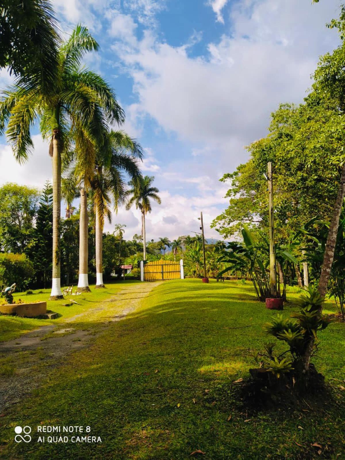 Finca Hotel El Eden Del Quindio Calarcá Exterior foto